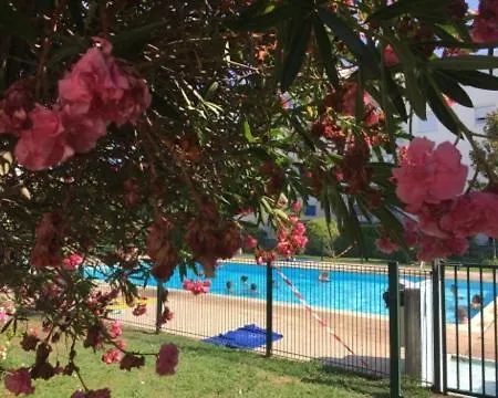 Lesjardinsfleuris Mandelieu