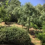Lesjardinsfleuris *
